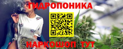 соль ск Гай