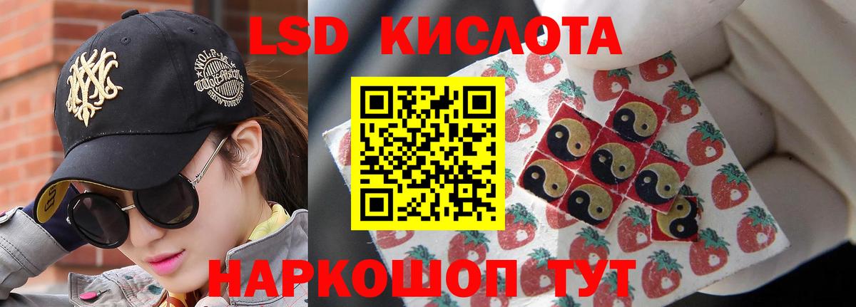 Лсд 25 Клинцы