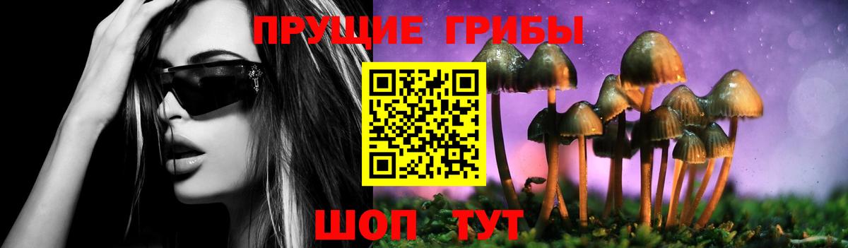 Галлюциногенные грибы прущие грибы  Вход с VPN  Клинцы 